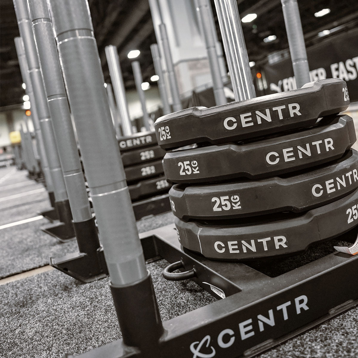 Centr x HYROX Interlocking Bumper Plate - 10 kg