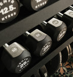 Centr x Hyrox Urethane Hexagon Dumbbell - 10 kg