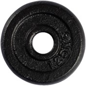 1,25 kg