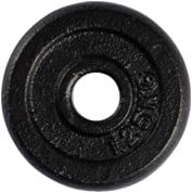 1,25 kg