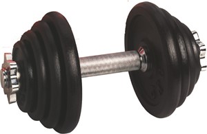 dumbells kopen - dumbells kopen action