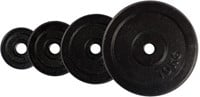 VirtuFit Gietijzeren Halterschijven Set - 70 kg