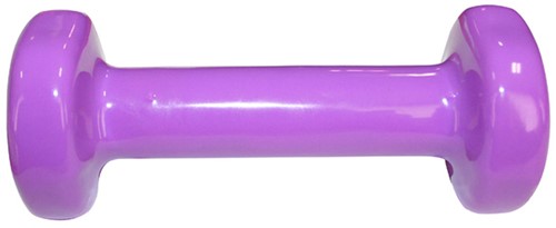 HMS Gietijzeren Dumbbell met Vinyl Coating - 0,75 kg-2