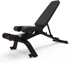 BowFlex 3.1S SelectTech Verstelbare Trainingsbank