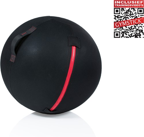 Gymstick Office Ball - 65 cm - Met Online Trainingsvideo's