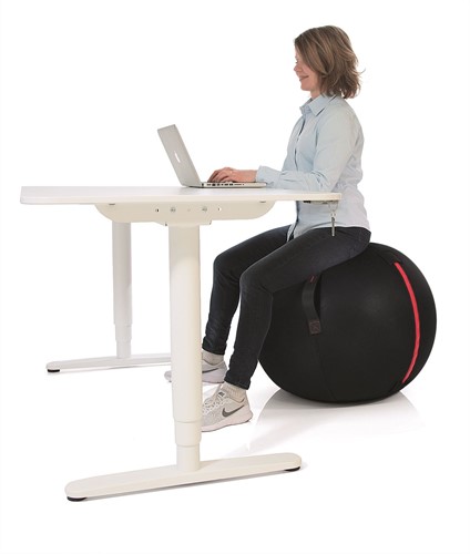 Gymstick Office Ball - 65 cm - Met Online Trainingsvideo's-3