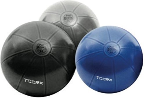 Toorx Fitnessbal Gymbal PRO Grijs - 65 cm