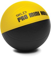 Pro Mini Hoop Micro Basket