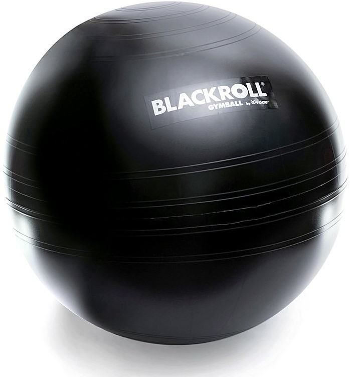 Nationaal volkslied welzijn gordijn Blackroll Gymbal - Fitnessbal - Zwart - 65 cm | Fitwinkel.nl