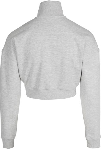 Gorilla Wear Ocala Cropped Half-Zip Sweatshirt - Grijs