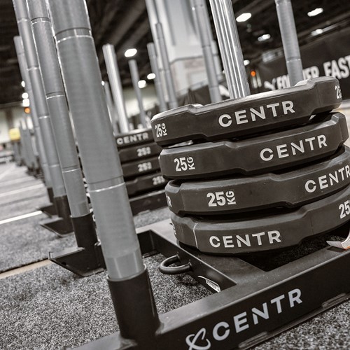 Interlocking Bumper Plate foto