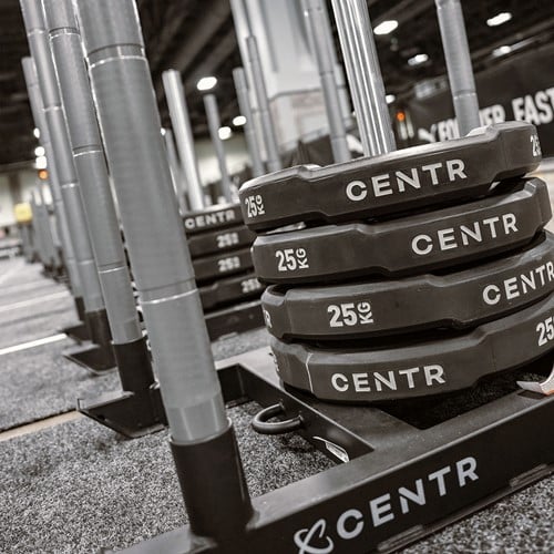 Interlocking Bumper Plate foto