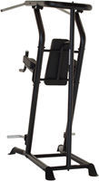 Inspire VKR - Vertical Knee Raise - Power Tower