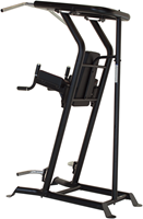 Inspire VKR - Vertical Knee Raise - Power Tower
