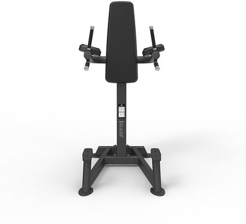 Spirit Fitness Leg Raise, Knee Raise & Dip Station-2