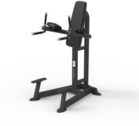 Spirit Fitness Leg Raise, Knee Raise & Dip Station-3