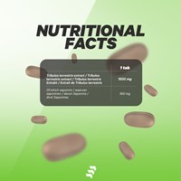Empose Nutrition Tribulus Terrestris - 120 Tabletten-2