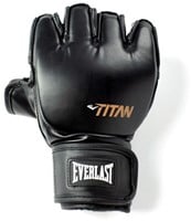 Everlast Titan MMA Handschoenen - 1