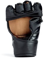 Everlast Titan MMA Handschoenen - 2