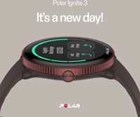 Polar-ignite3-koperbruin