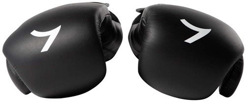 Reeva Leren (Kick)Boxing Gloves - Bokshandschoenen-2