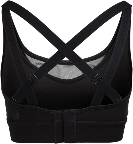Riley Sports Bra Back 2