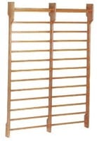 Toorx Dual Wallbar - Dubbel Wandrek