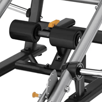 Toorx Professional Squat Lunge FWX-9200-2