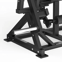 Toorx Professional Avant Leg Extension FWX-7450-2