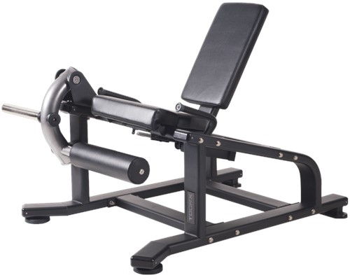 Toorx Professional Aktiv Leg Extension FWX-4800