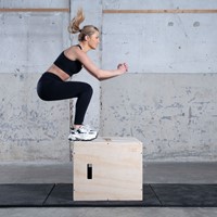 Home  Fitness artikelen  Plyo boxen