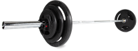 VirtuFit Olympische Gietijzeren Halterset - 90 kg