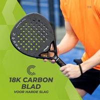 carbon infographic 