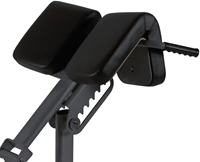 Toorx Professional WBX-B2600 Back Extension-2